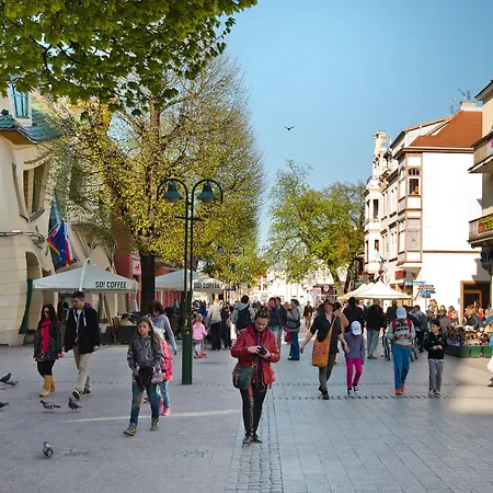 Apartment Imperial - Haffner Lux *